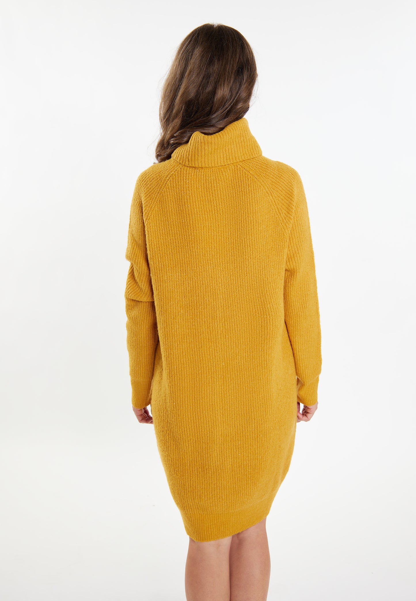 usha women's knit dress