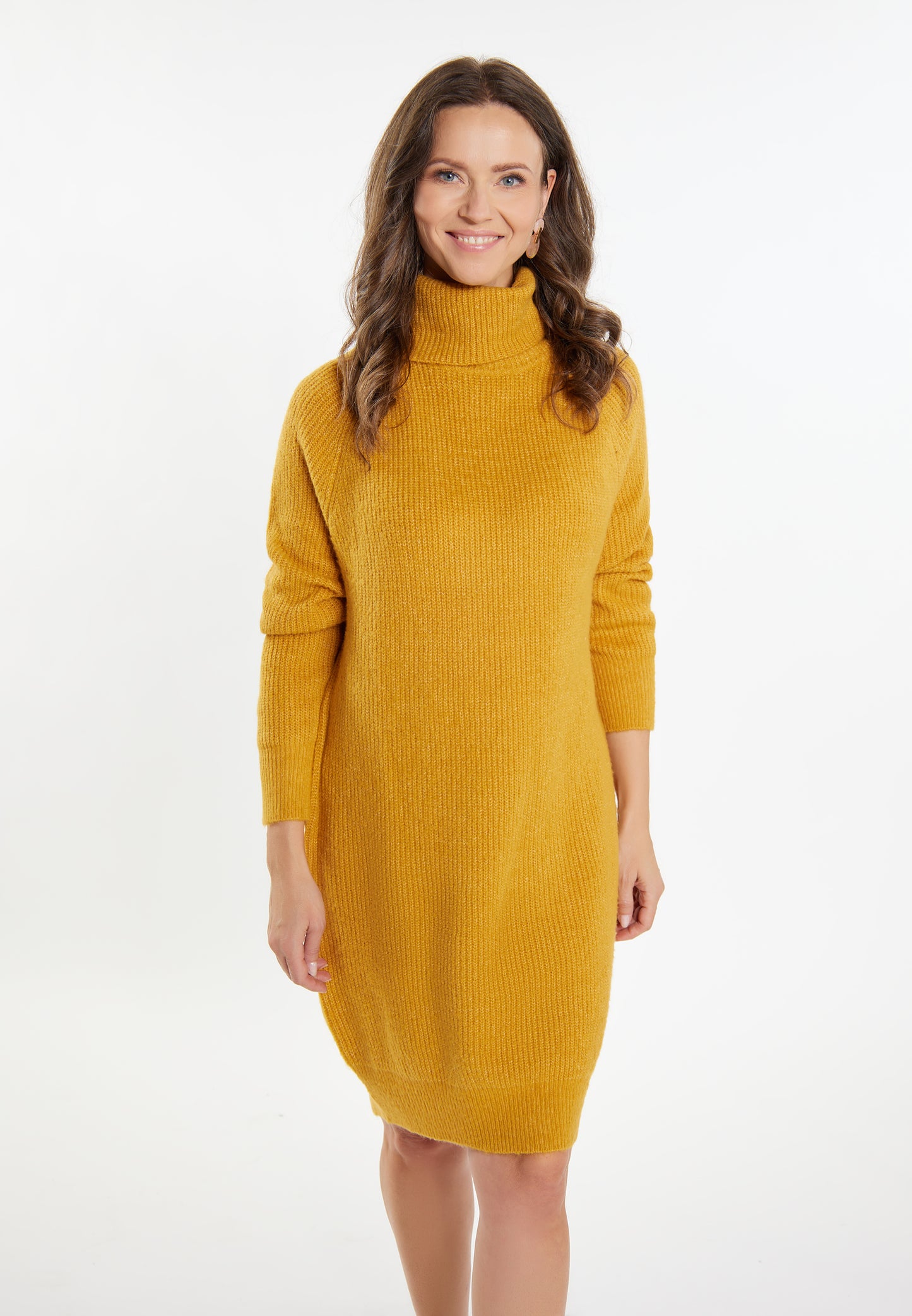 usha women's knit dress