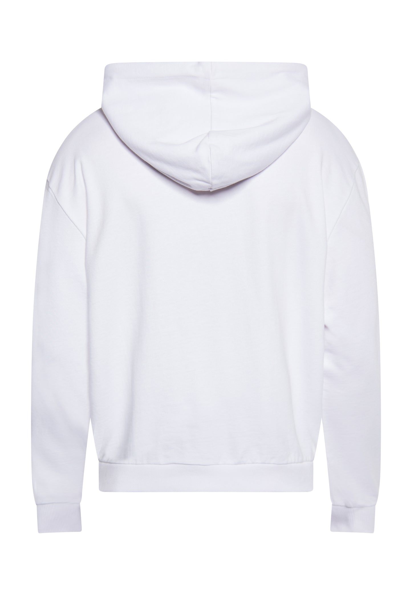 Sloan men's sweatshirt