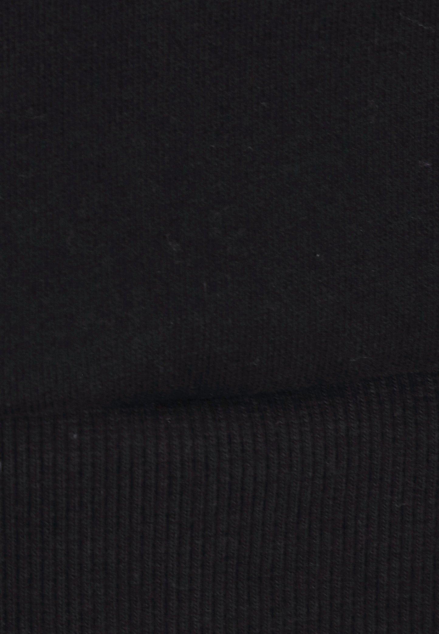 sanina women's sweatshirt