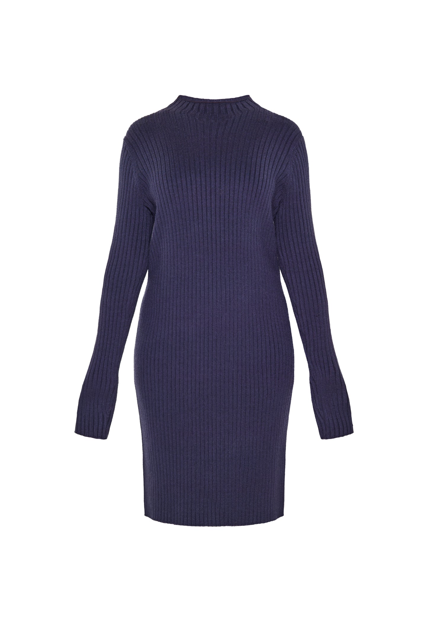 usha BLUE LABEL Women's Dress
