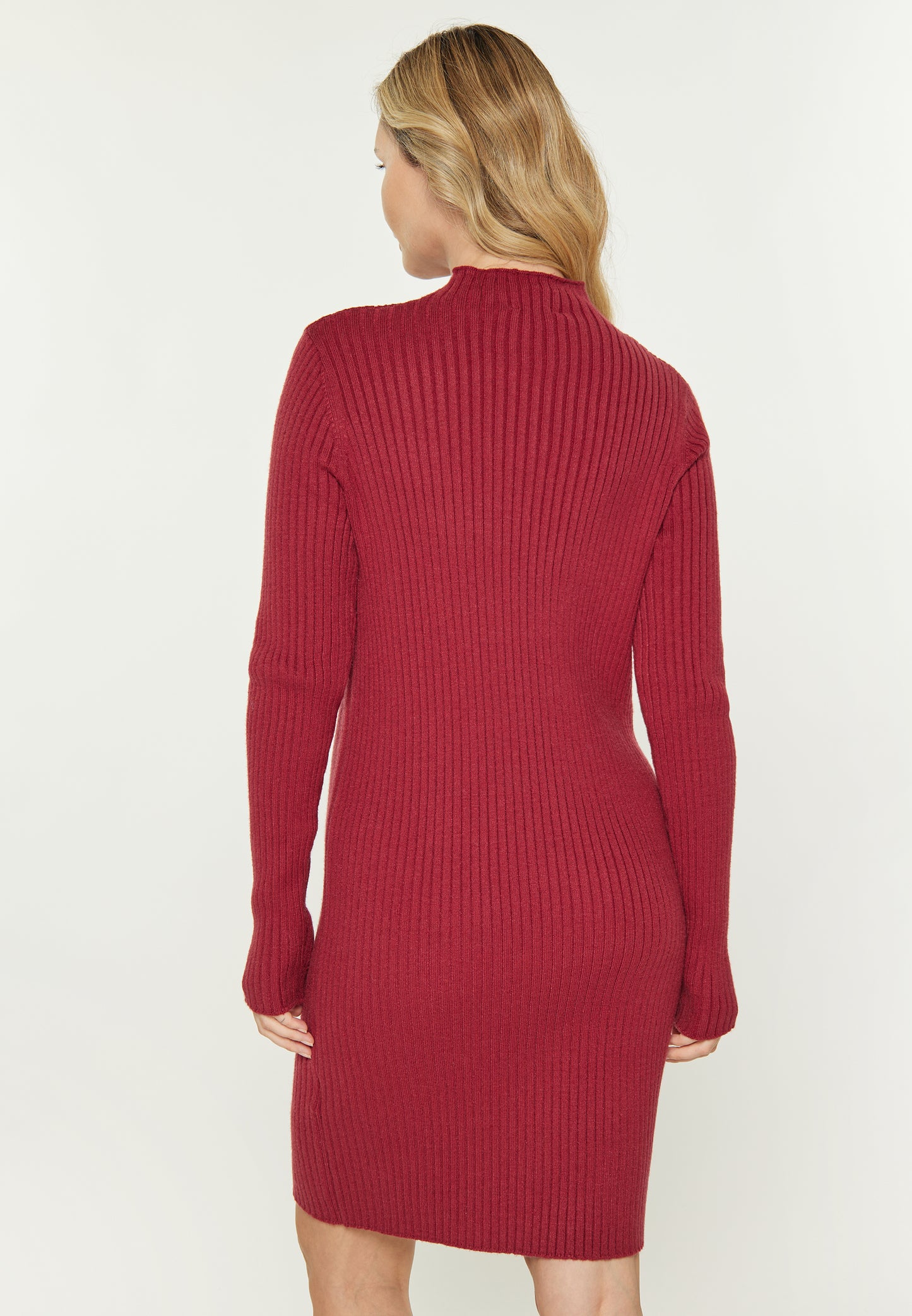 usha BLUE LABEL Women's Dress
