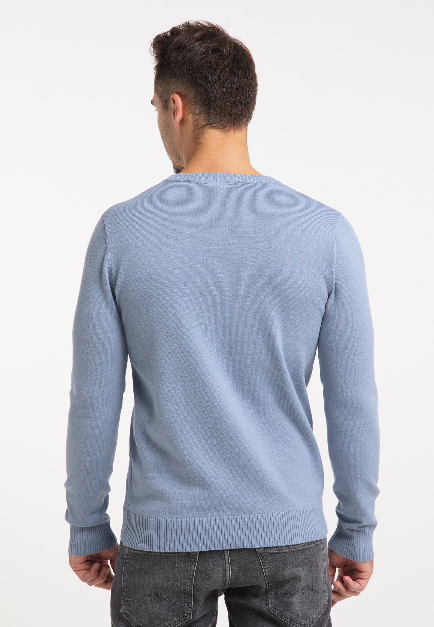 RAIDO men's knitted sweater