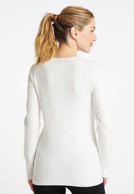usha BLUE LABEL Women's Knitted Sweater