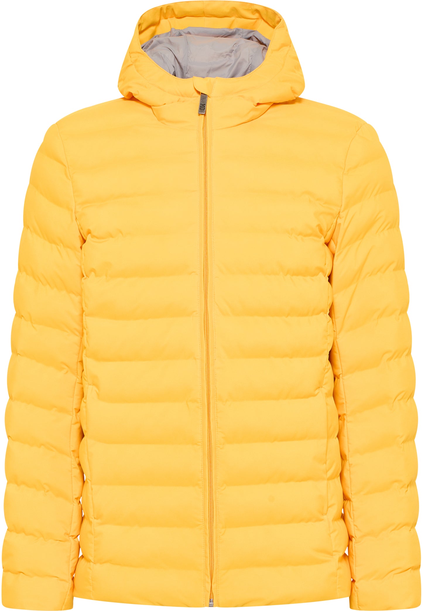 Mo men's padded winter jacket