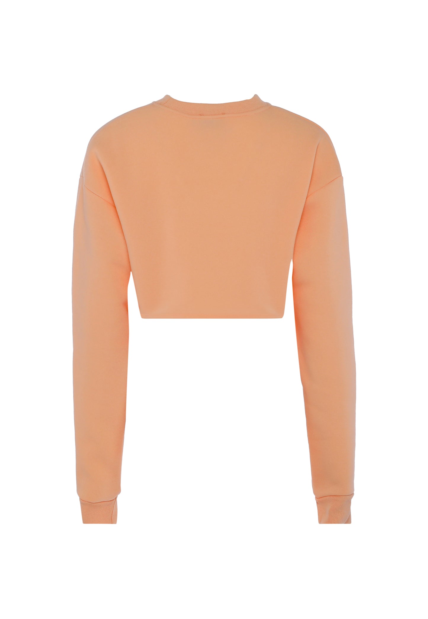 flyweight women's sweatshirt
