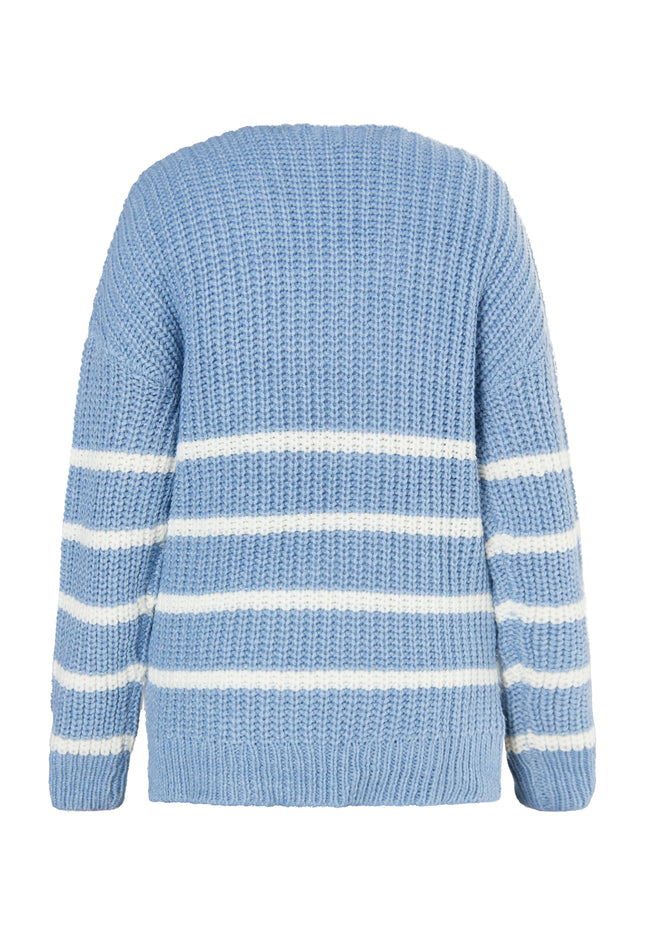 usha BLUE LABEL Women's Knitted Sweater