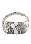 Gray Multicolored
