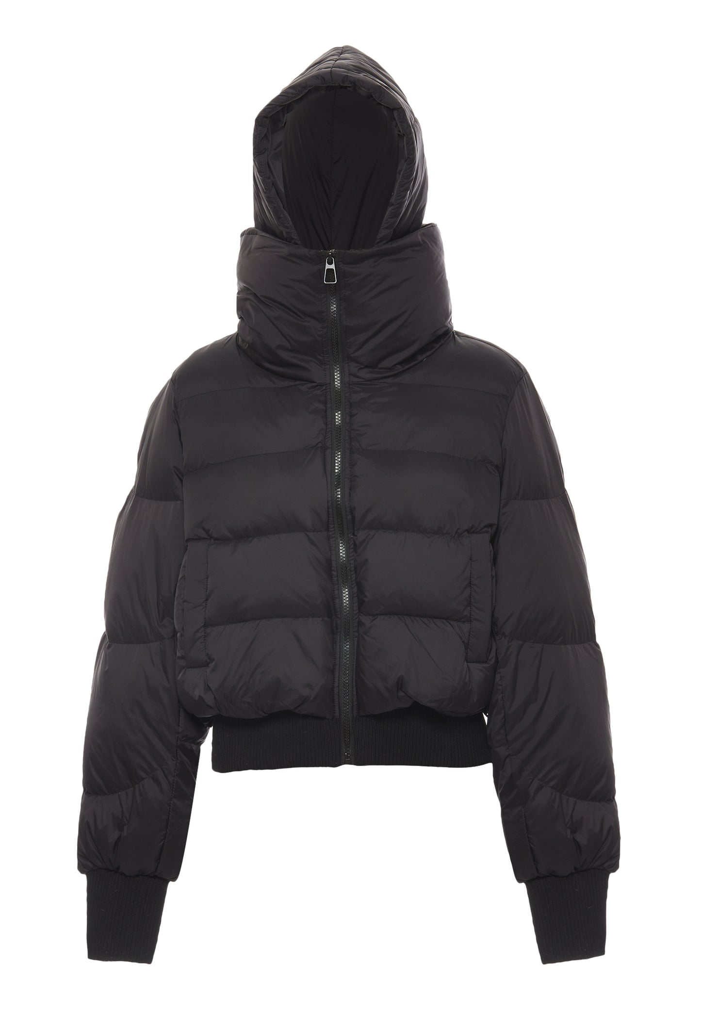 myMo women's jacket