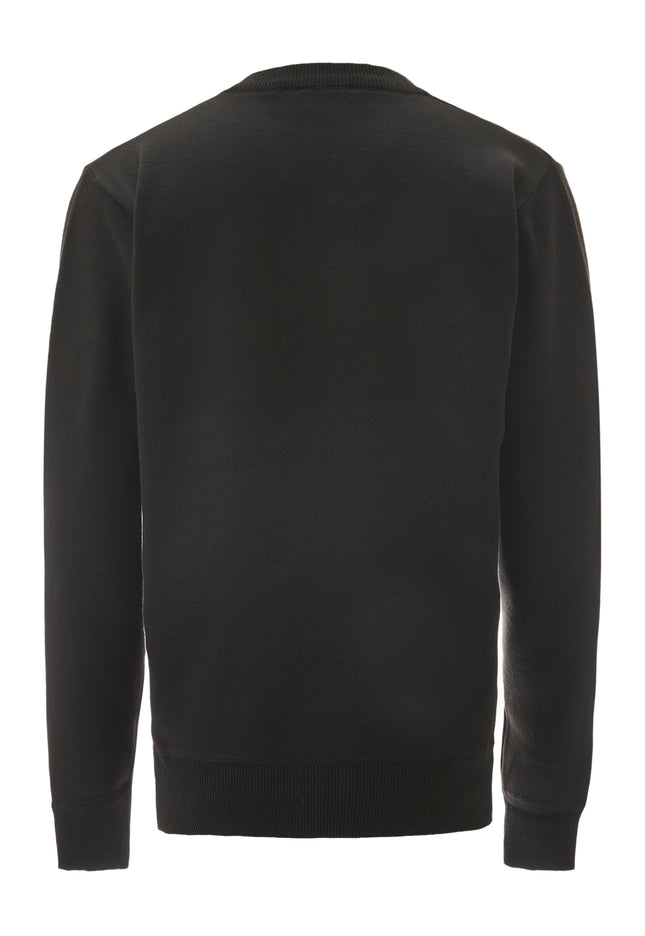 BRAELYN Men's Pullover