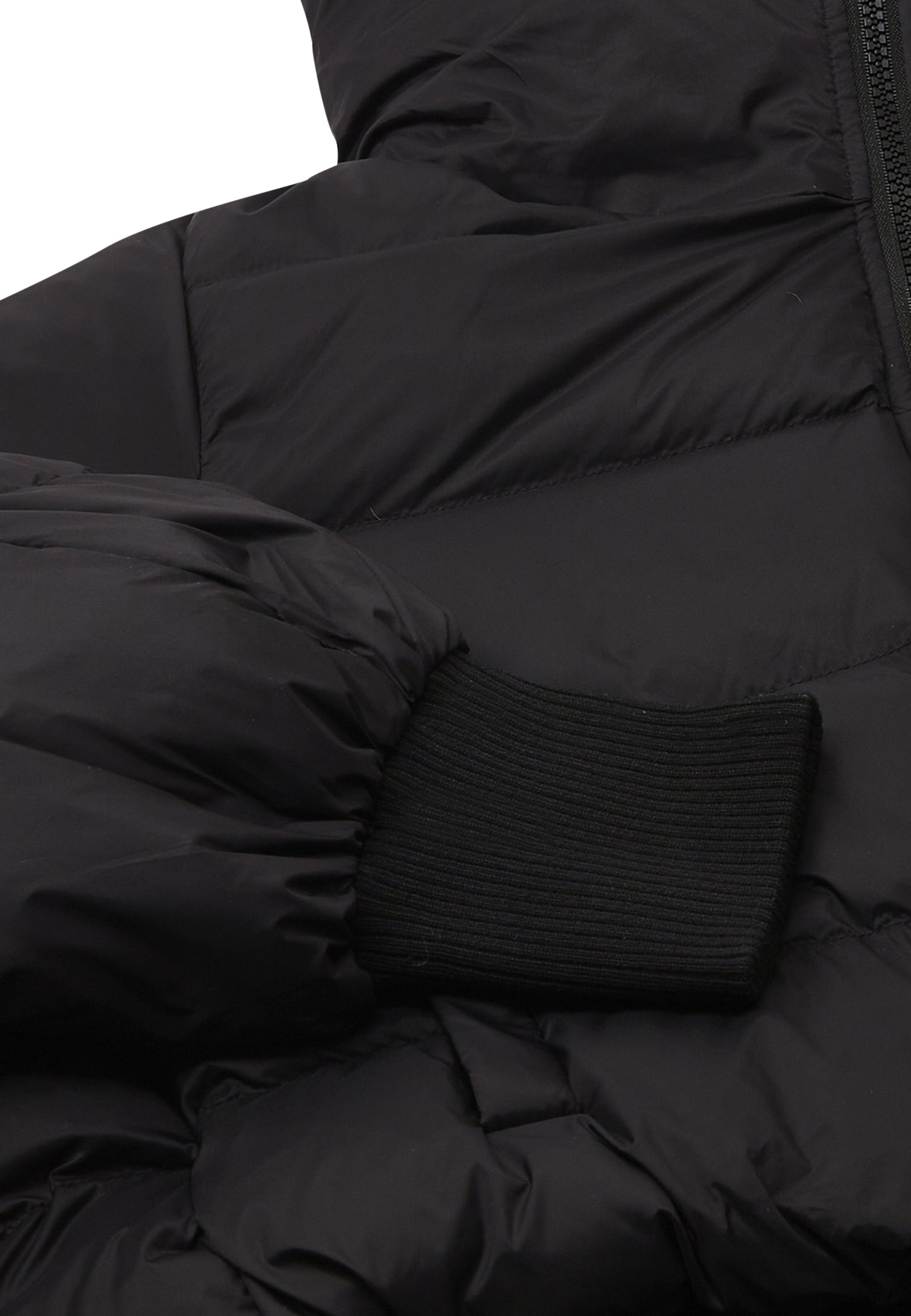 myMo women's jacket