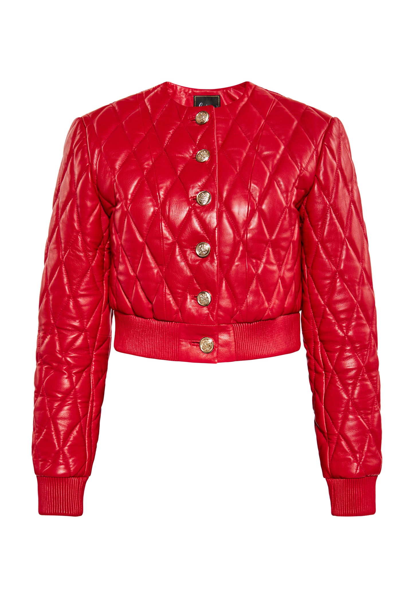 faina women's jacket
