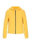 Yellow Navy