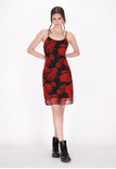 Red Black