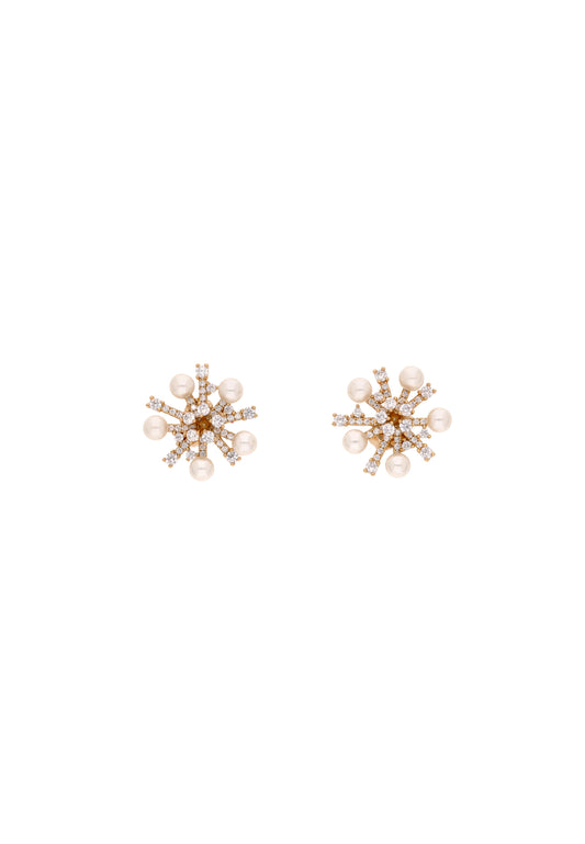 faina Women's Earrings