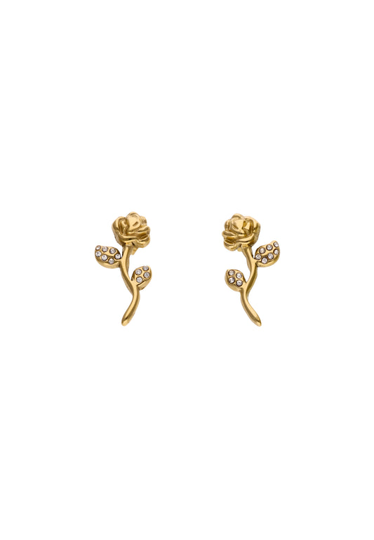 faina Women's Earrings