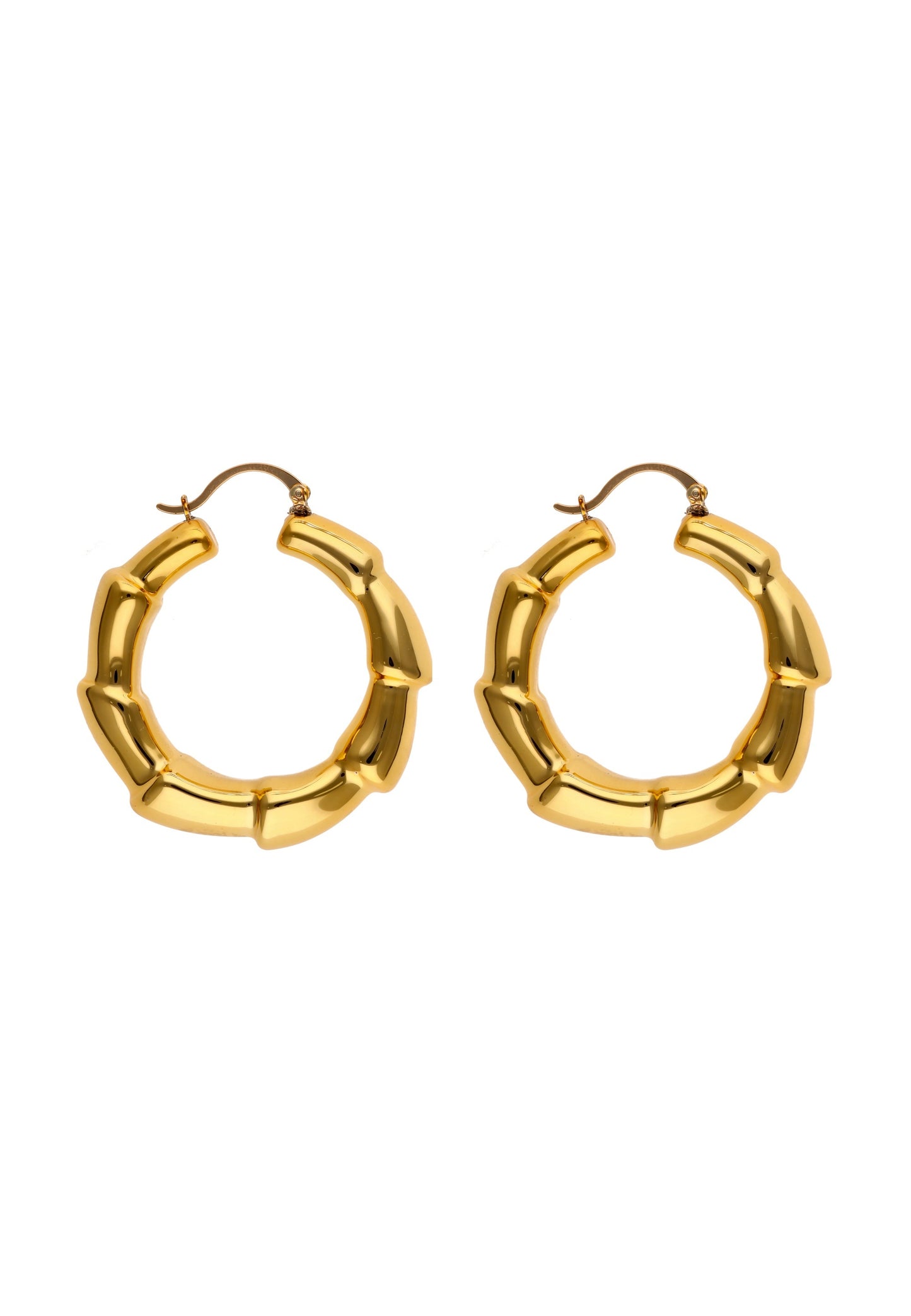 faina Women's Earrings