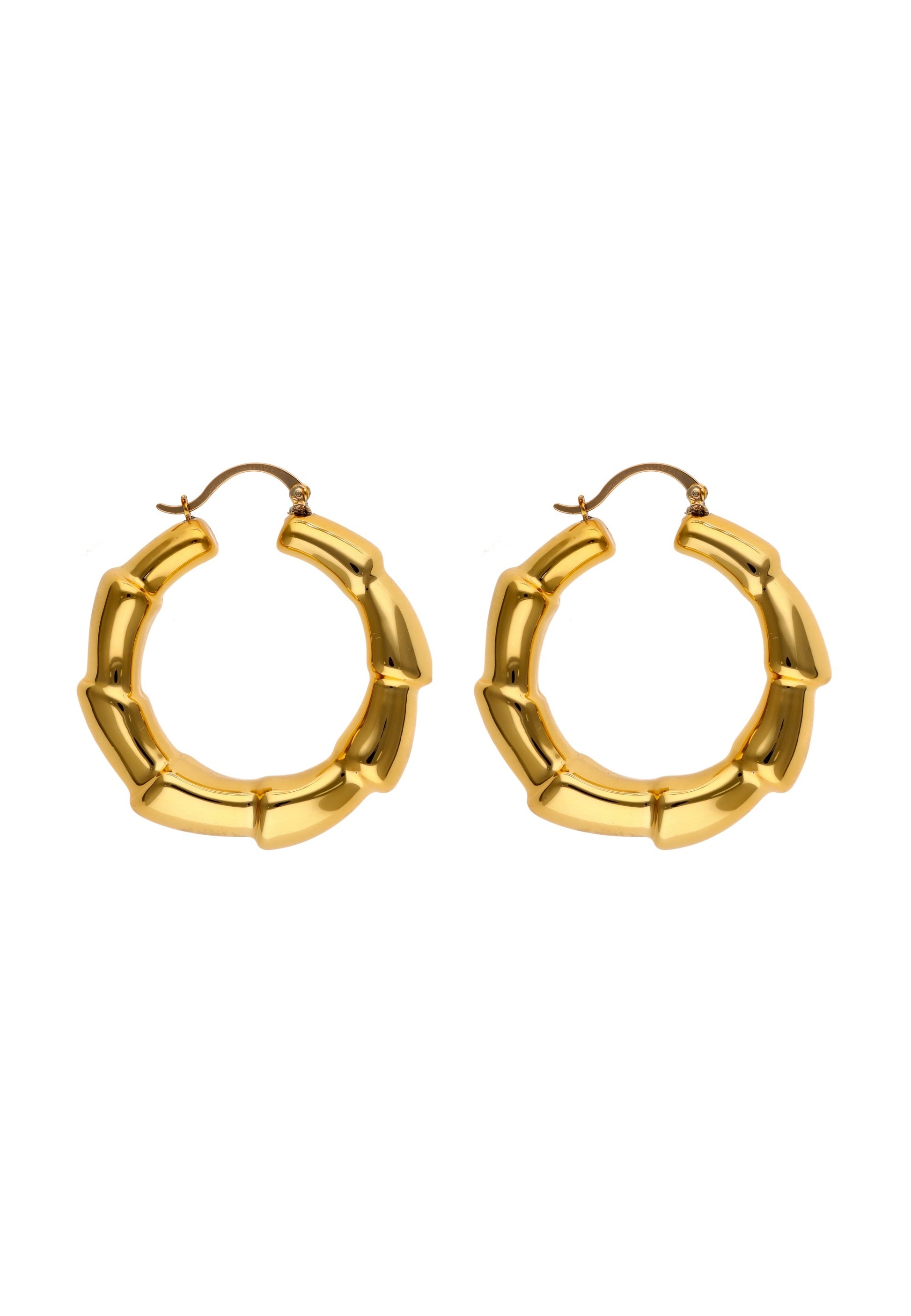 faina Women's Earrings