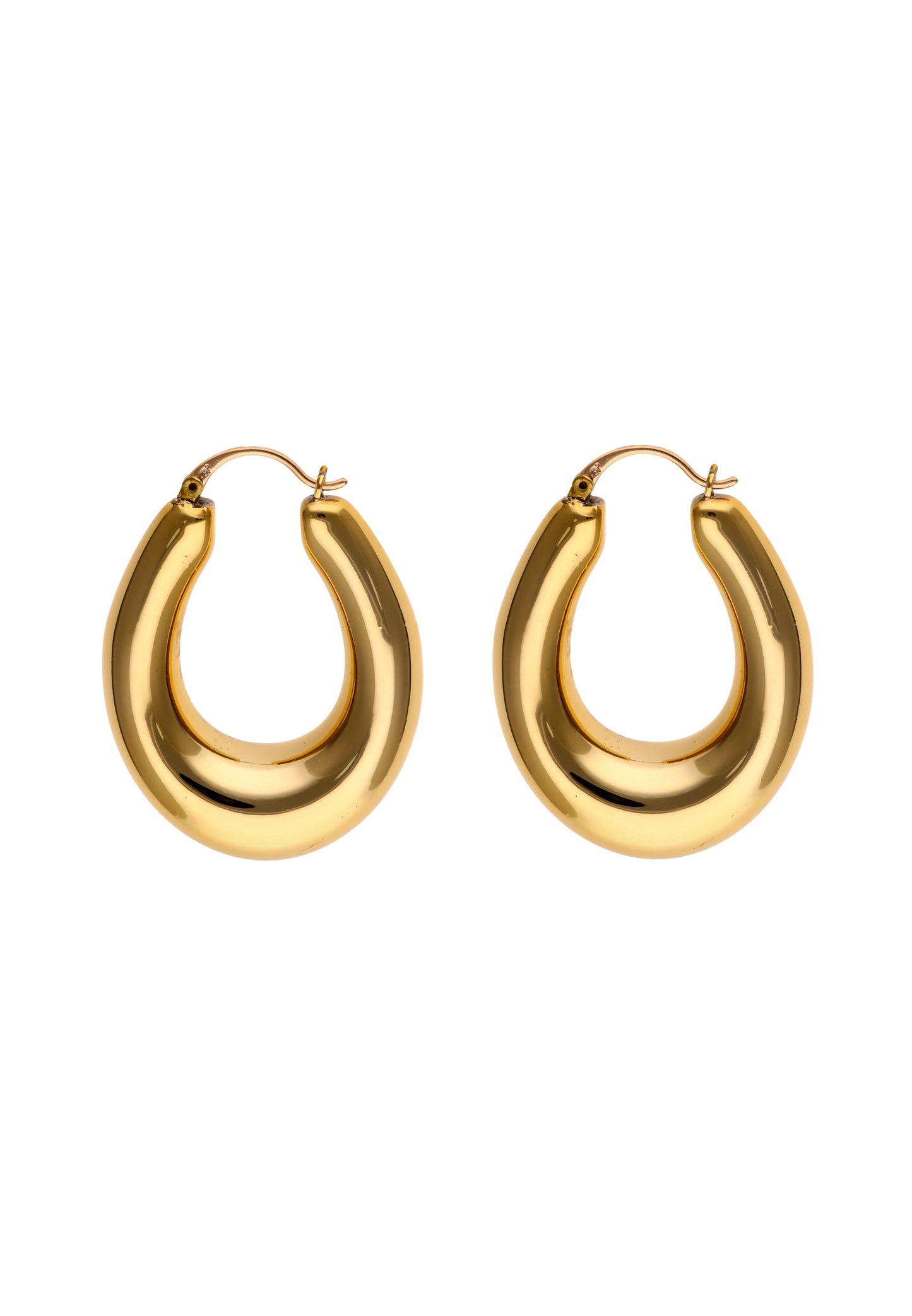 faina Women's Earrings