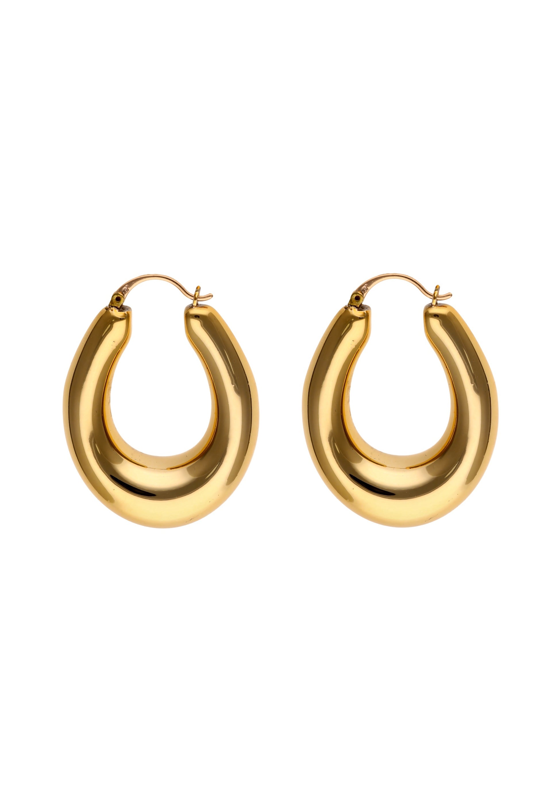 faina Women's Earrings