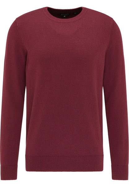 RAIDO men's knitted sweater
