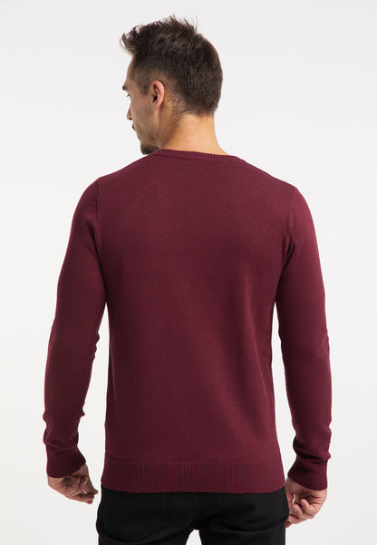 RAIDO men's knitted sweater
