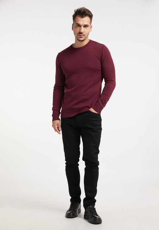 RAIDO men's knitted sweater