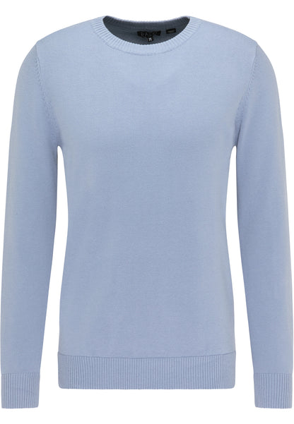 RAIDO men's knitted sweater